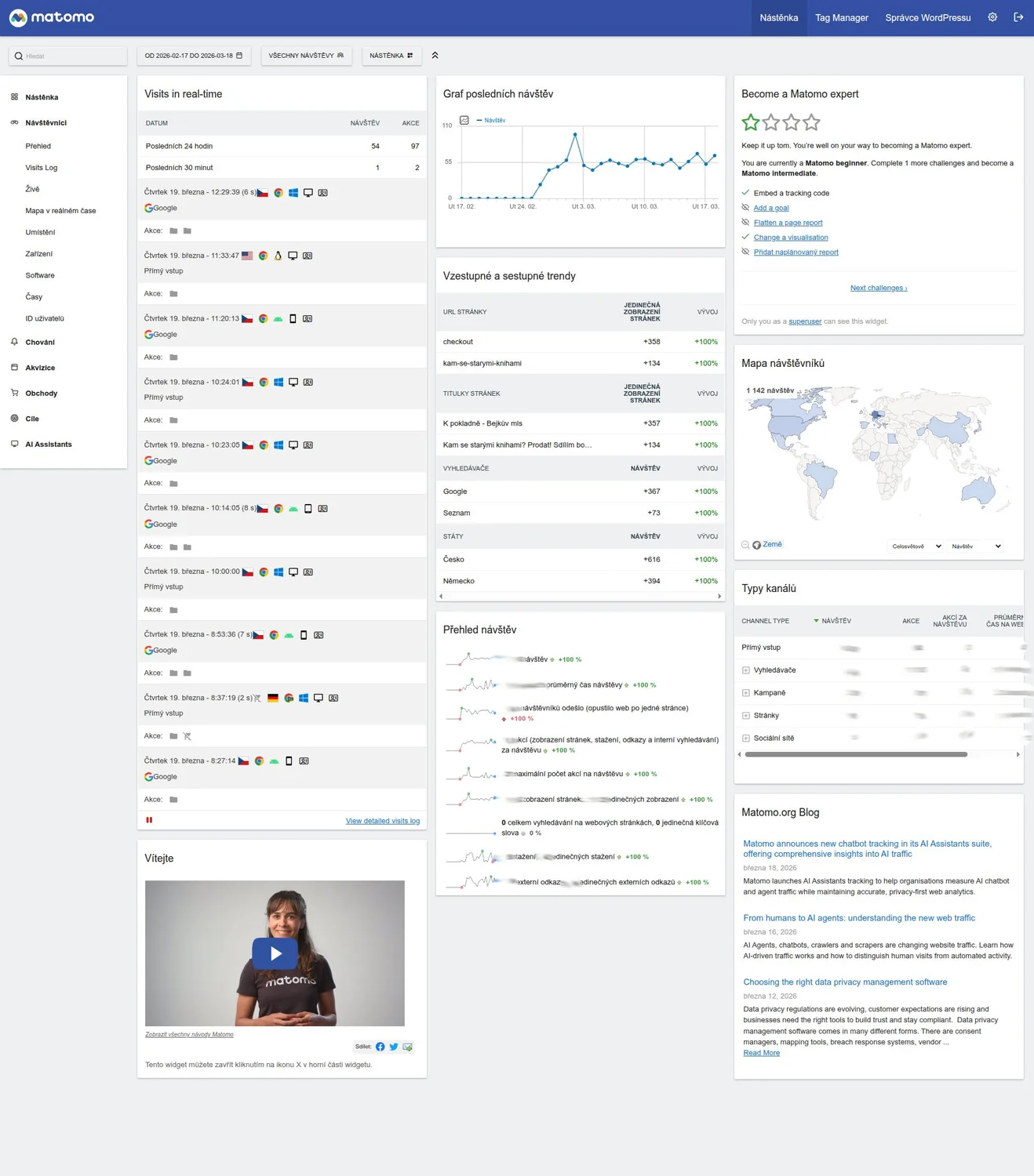 Screenshot of Matomo plugin with traffic measurement results — detailed view